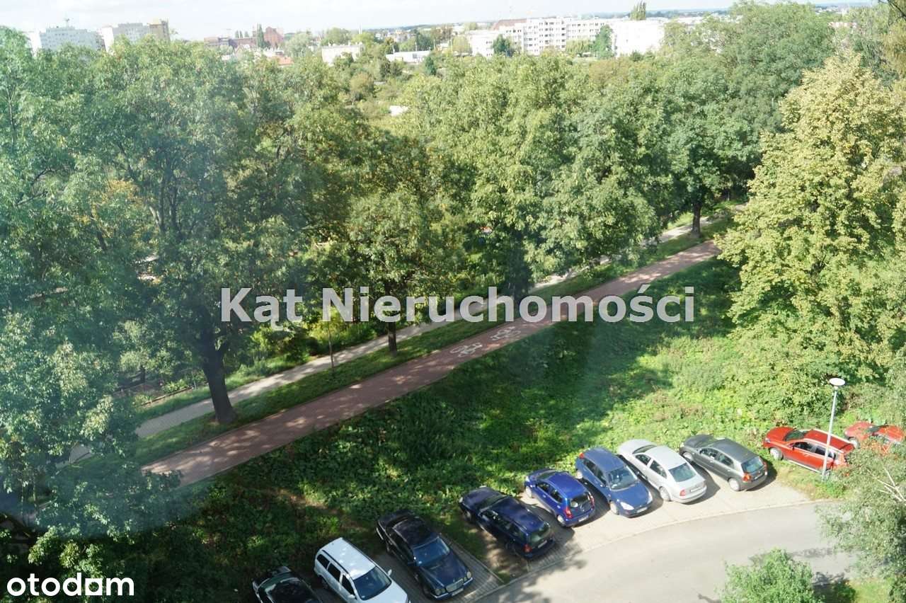 Karłowice - Pokój do wynajęcia od zaraz ! - Pełny obrazek: 3/6