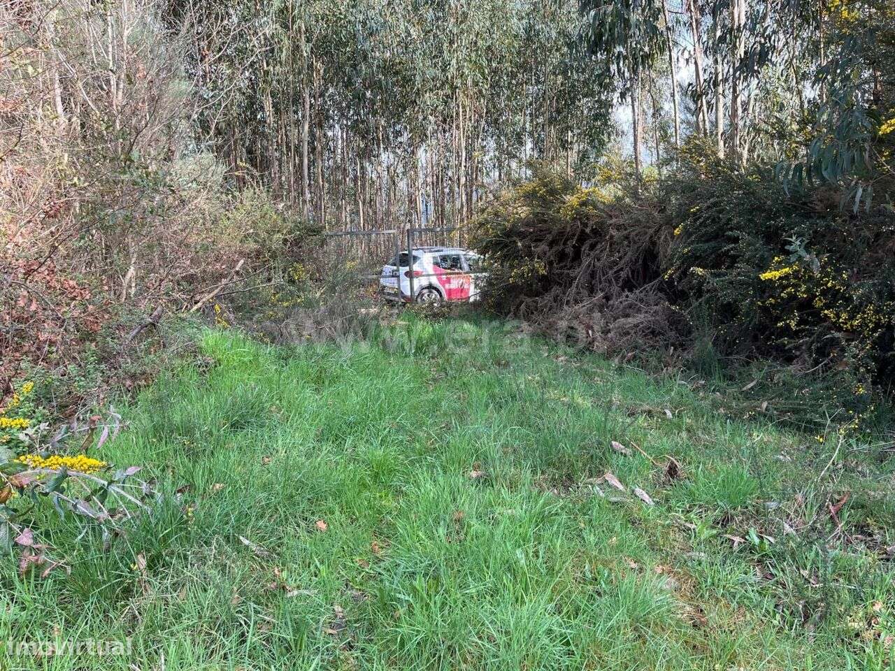 Terreno / Seia, Tourais e Lajes - Grande imagem: 2/10