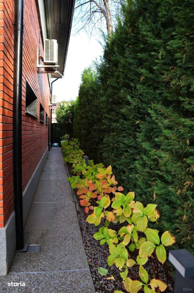 CASA BUCIUM  LA STRADA PRINCIPALA - Imagine principală: 3/20