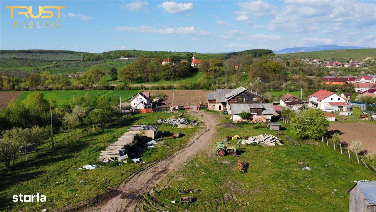 Ferma de vanzare, teren, constructii, saivan, lac - Imagine principală: 5/16