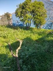 Terreno pronto a construir sua casa de sonho Moita - Grande imagem: 5/11