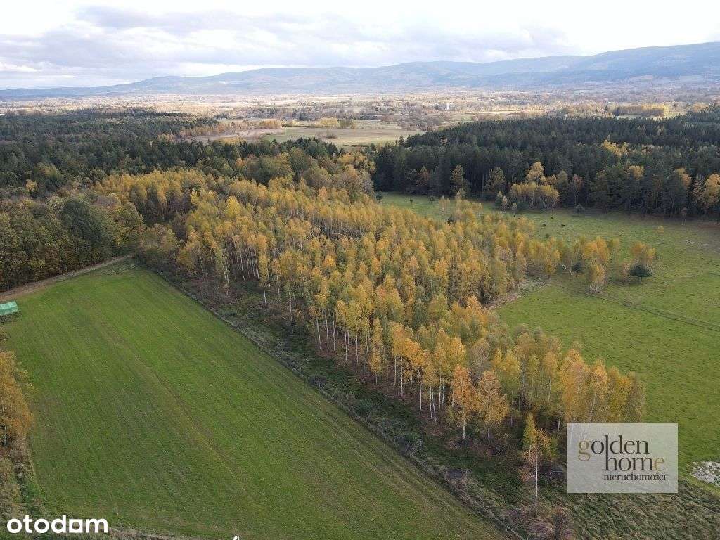 ⭐️Brzozowy Gaj⭐️działki na Przedgórzu Izerskim-3