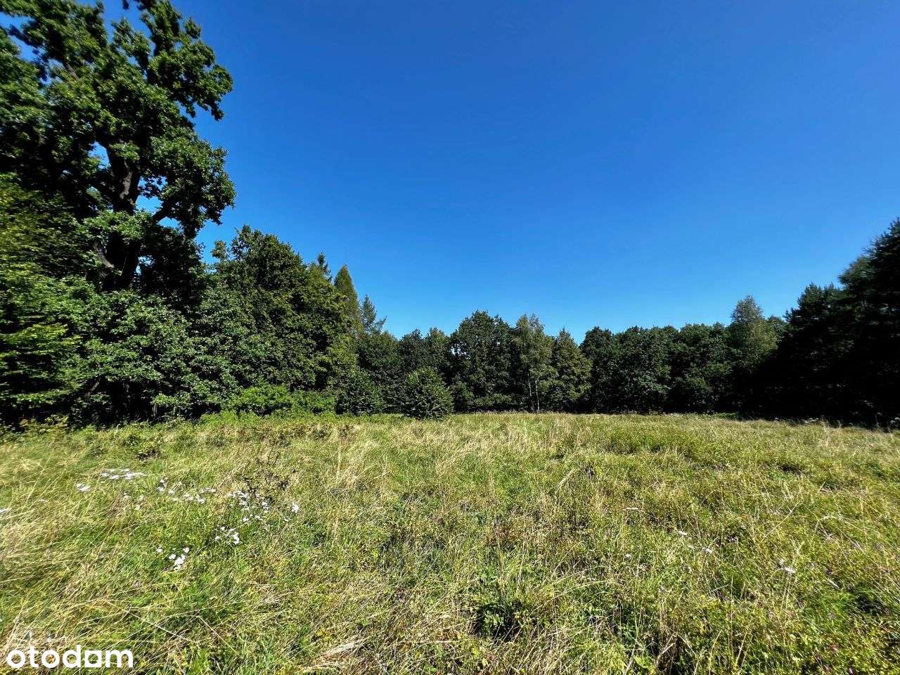 Działka Aleja Dębowa Kalety - Pełny obrazek: 2/12