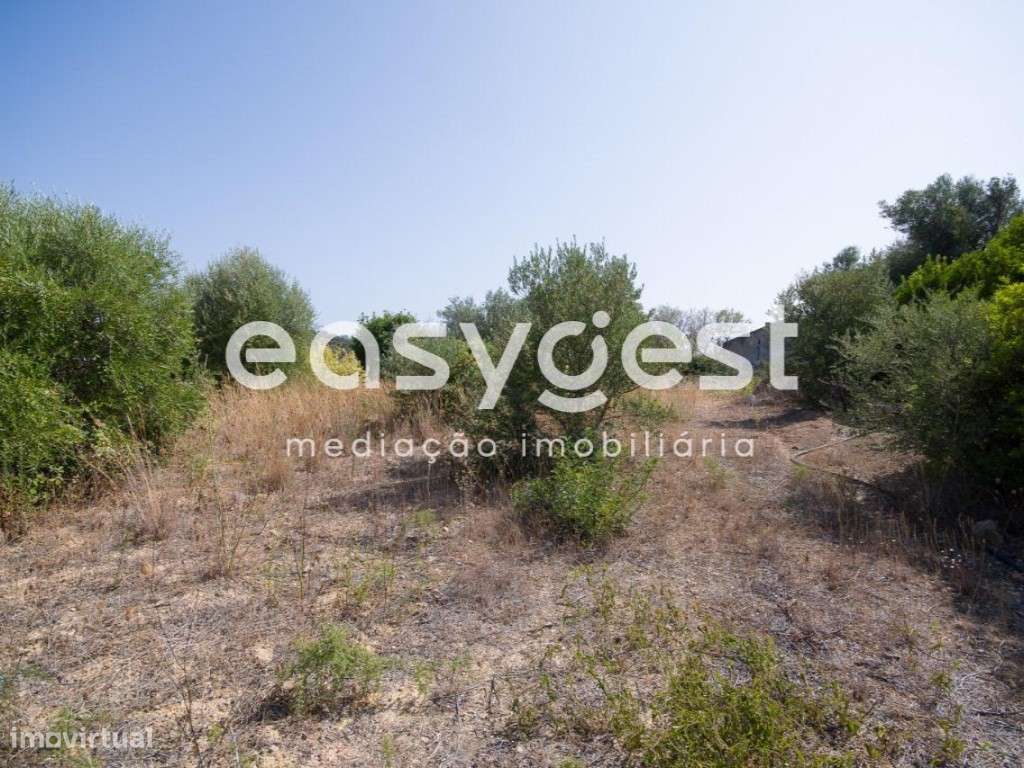 Terreno Misto com possibilidade de construção em Moncarapacho - Grande imagem: 4/9