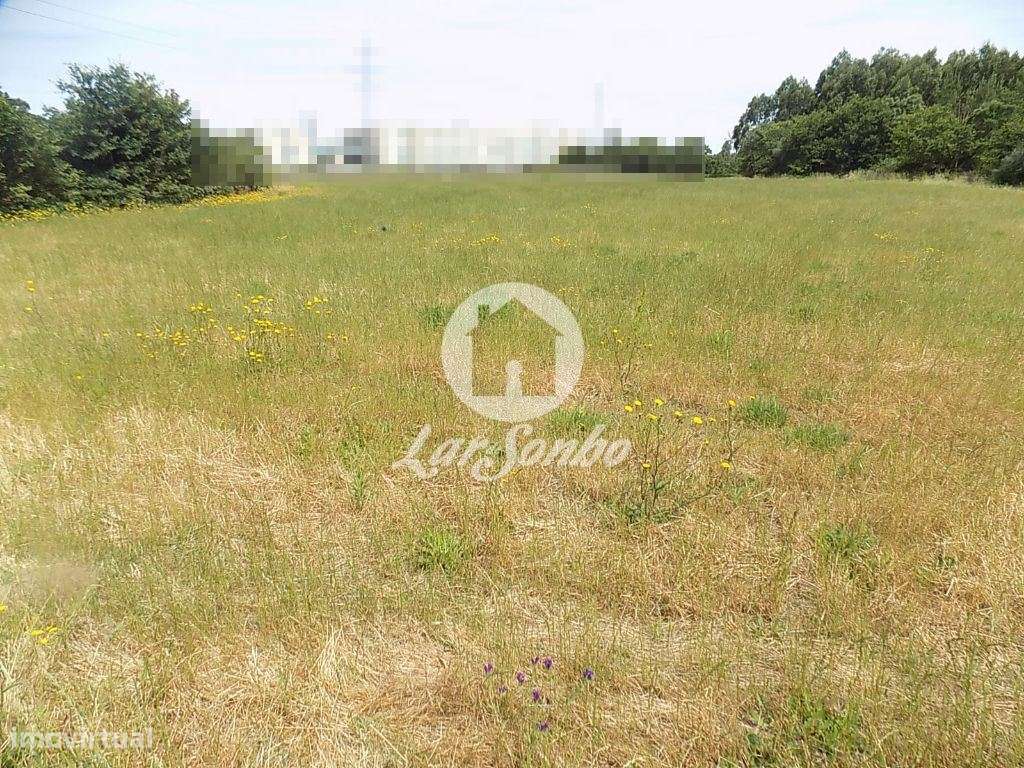 Terreno Misto c/ 92.000 m2 - Argivai - Grande imagem: 4/10