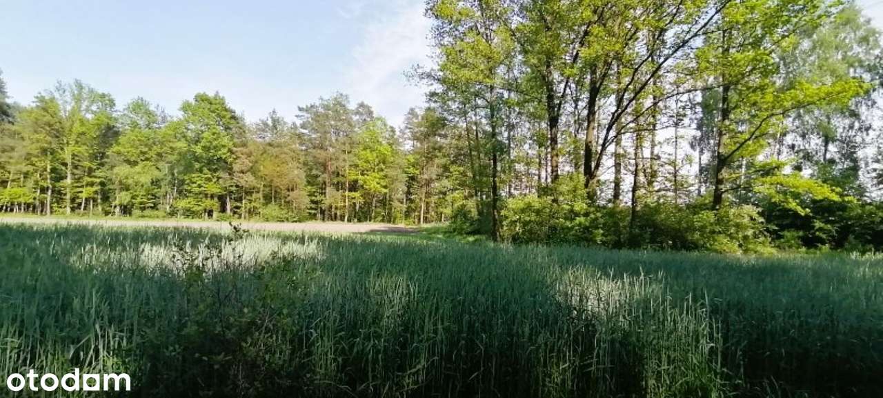 Działka gm. Drużbice, Józefów, 9032 m2, z potencjałem, atrakcyjna cena-7