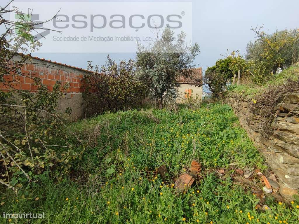 Casa antiga com quintal - Casal de Águas de Verão - Grande imagem: 3/4