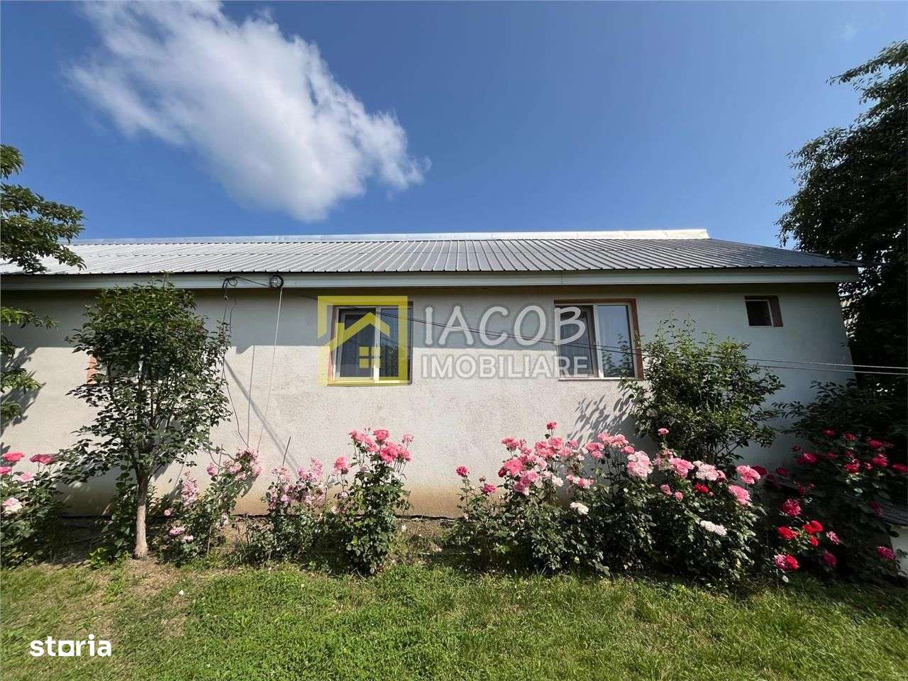 Casa cu 1690 mp teren, vie pe rod, comuna Sarata, jud. Bacau - Imagine principală: 3/20