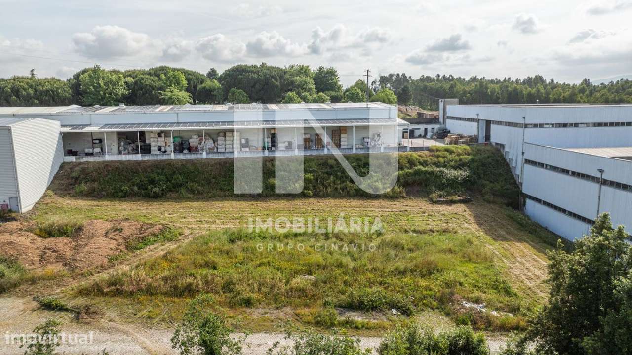 Armazém em Ribeirão-2