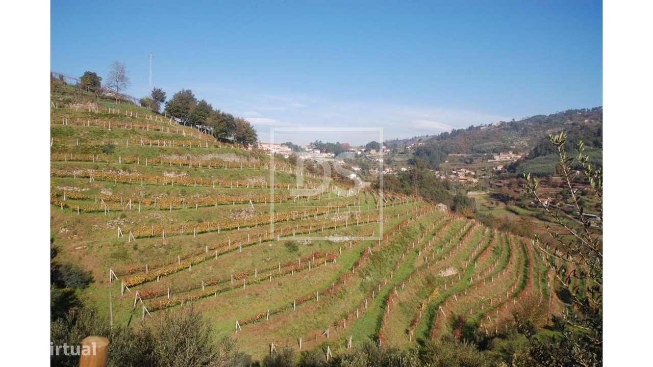 Quinta >=T10 Venda em Paredes de Viadores e Manhuncelos,Marco de Canav-35