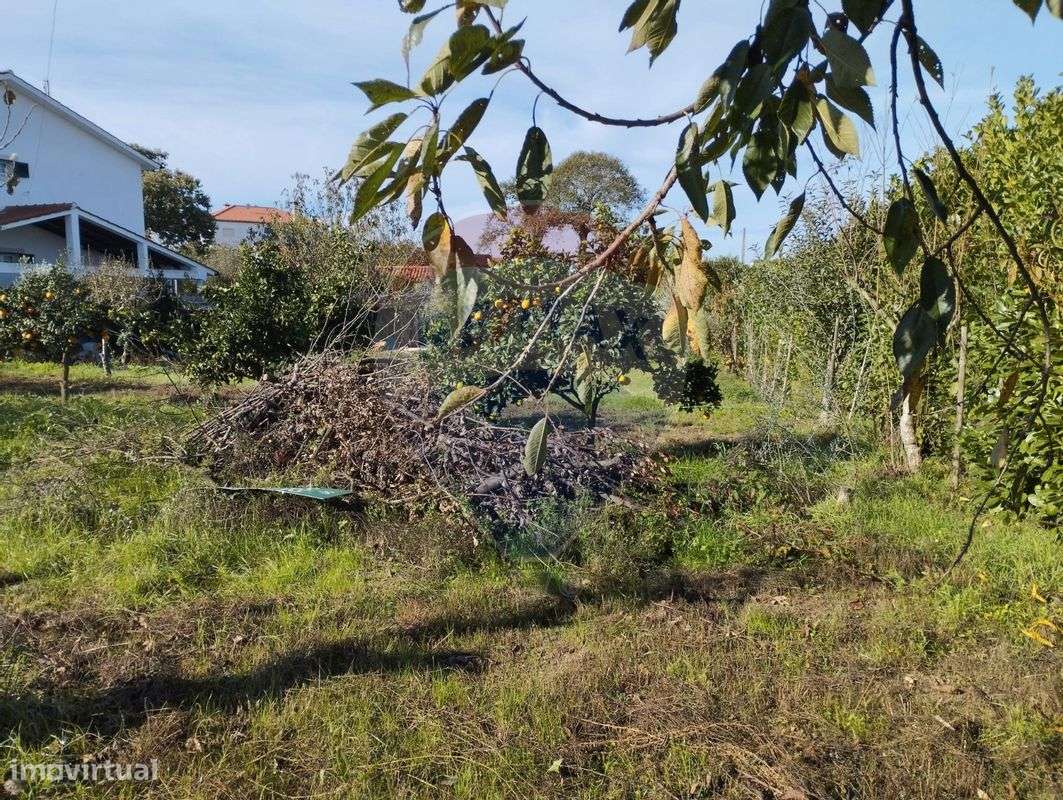 Terreno  para venda - Grande imagem: 5/6