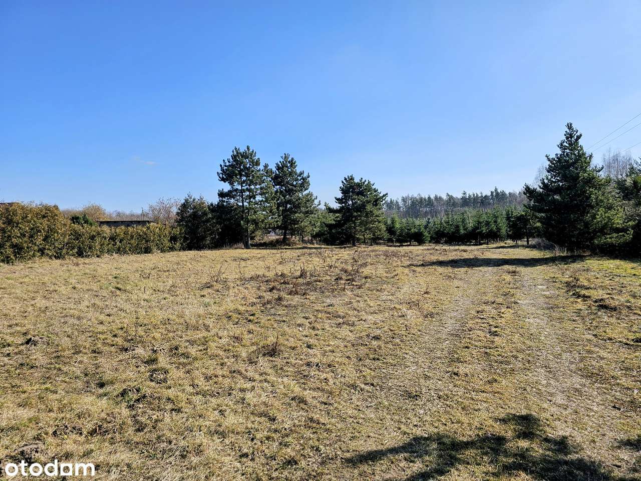 Działka budowlana 8600 m2. MPZP / Mikroklimat / Osuchów / Mszczonów-5