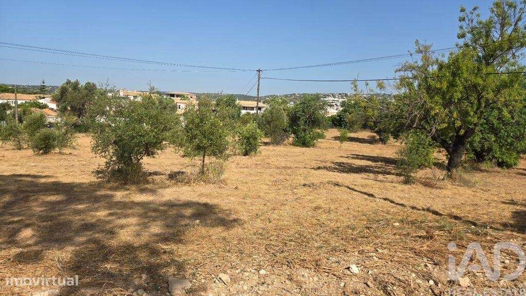 Terreno para construção em Boliqueime de 450,00 m2 - Grande imagem: 4/30