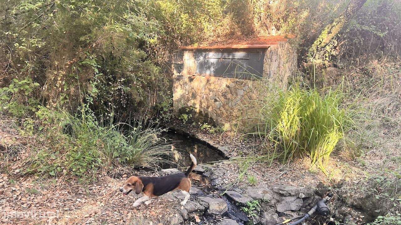 Propriedade única na Serra de Grândola - Terreno de 6,9 ha com vista p-13