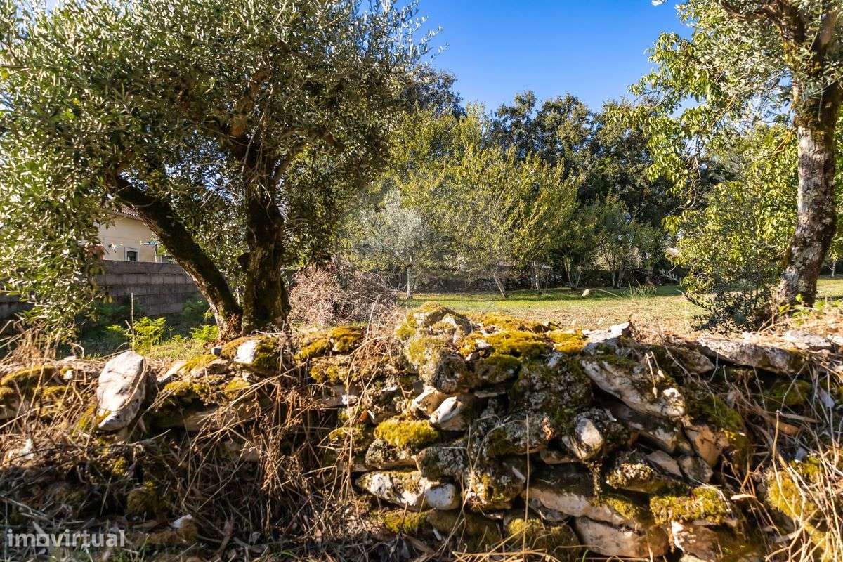 Terreno  para venda - Grande imagem: 5/20