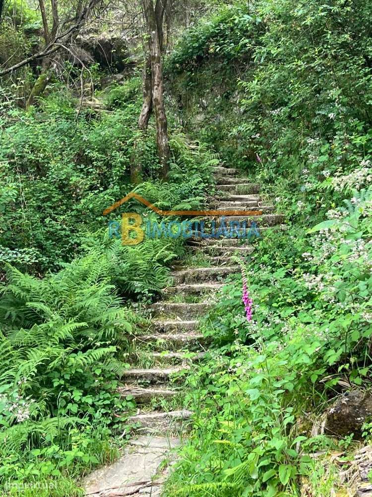 3 moradias em Rio de Frades - Arouca-5