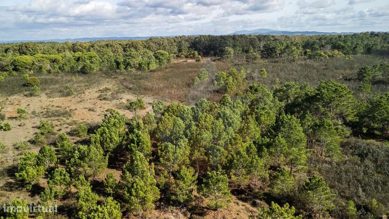 Fantástica Propriedade próximo do mar-10