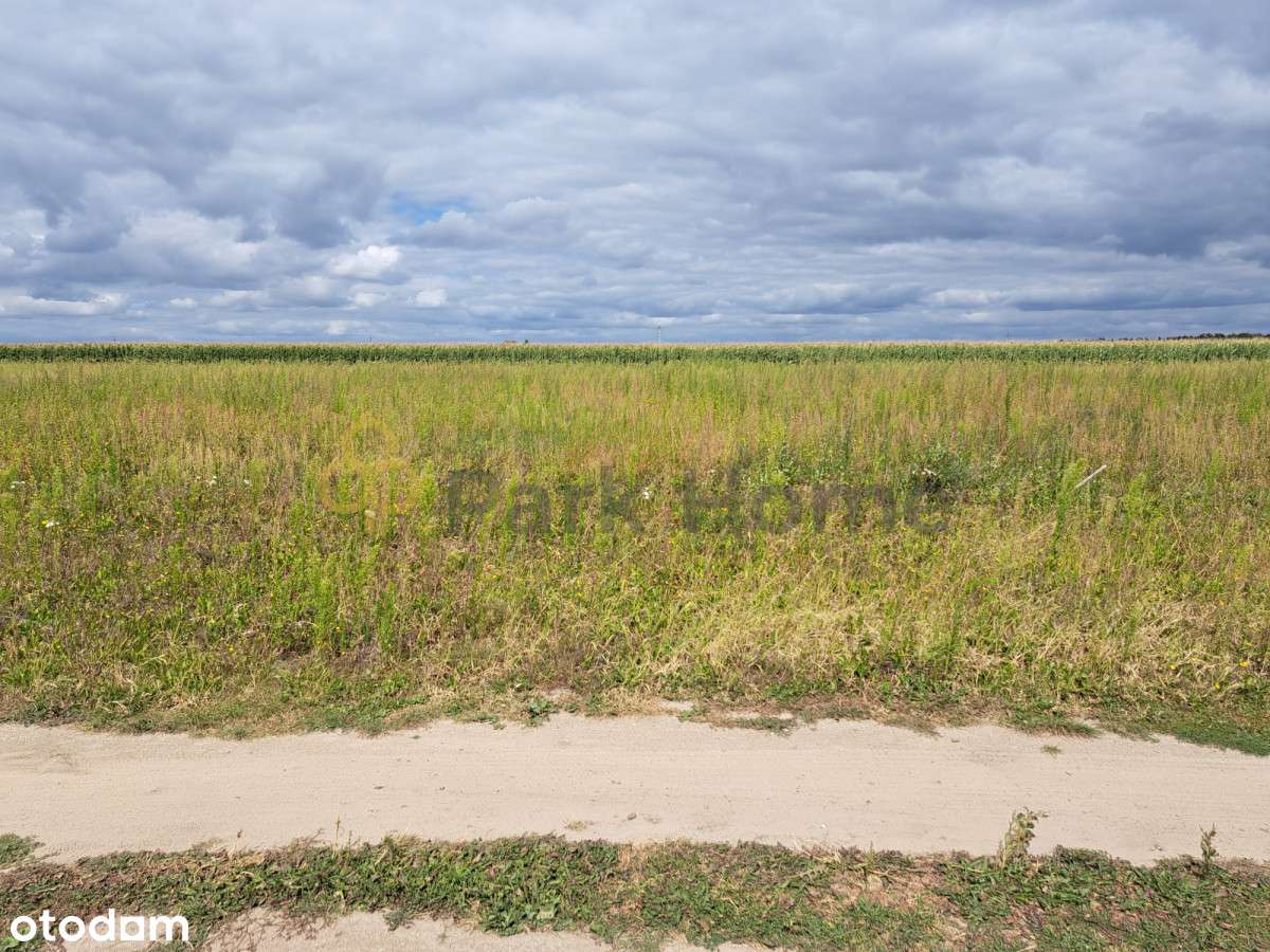 Działki pod budowę domu - Stary Lubosz - Pełny obrazek: 2/4