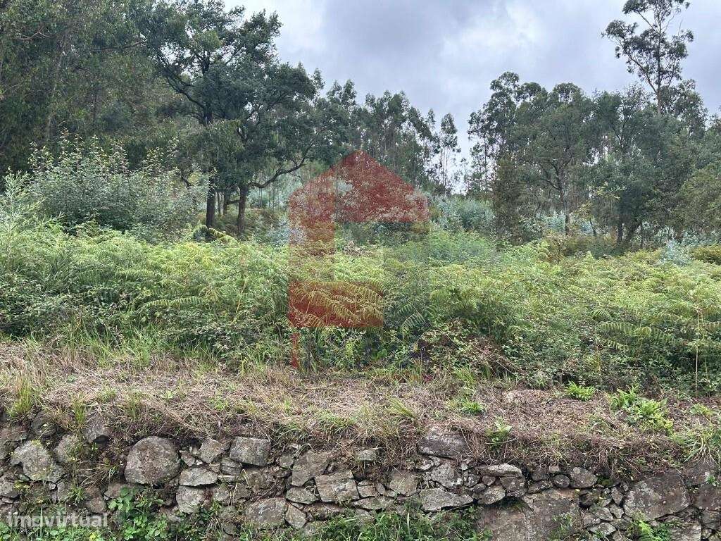 Terreno com PIP, Rio Mau - Grande imagem: 4/15