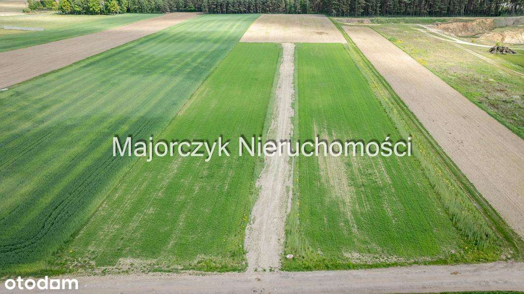 Działki budowlane w Jezierzycach Kościelnych - Pełny obrazek: 4/17