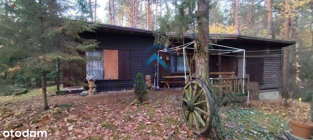 Dom w lesie dla 2 rodzin/ przyjaciół-4