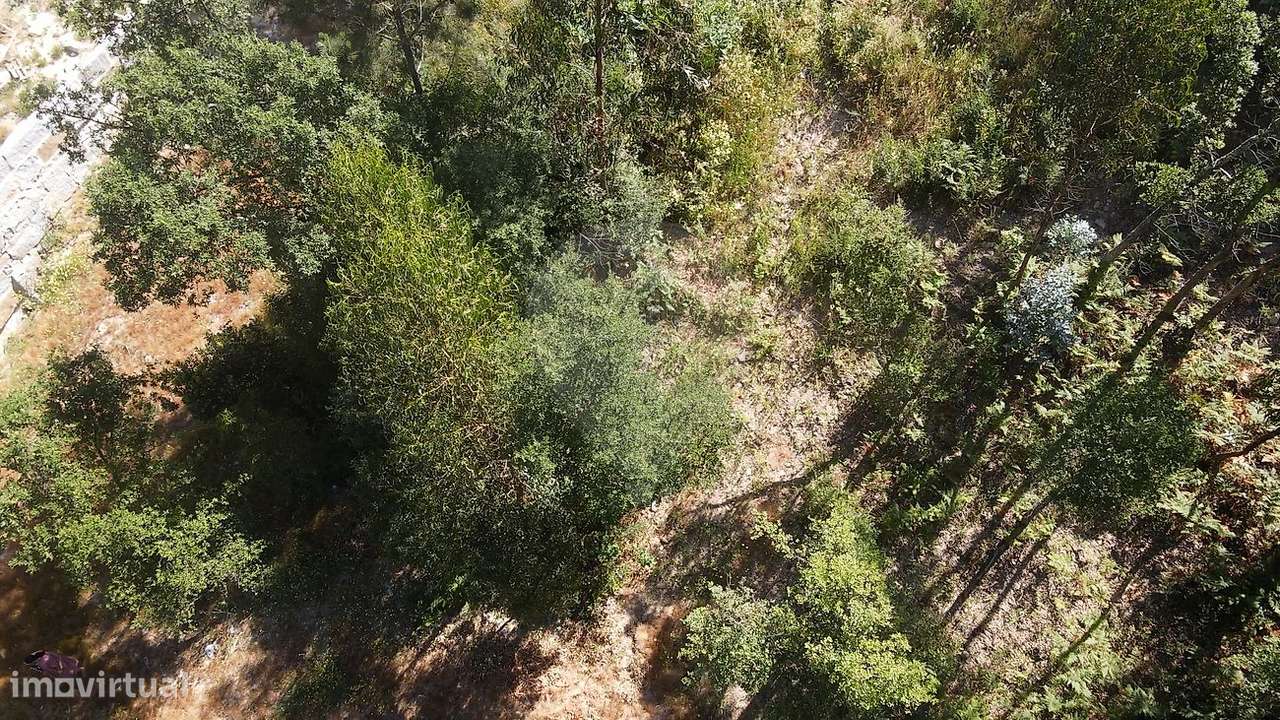 Terreno  para venda - Grande imagem: 5/10