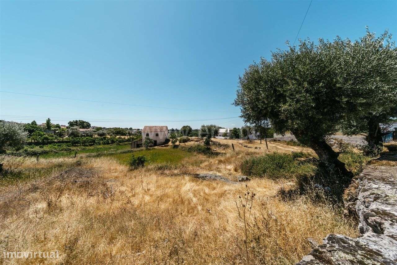 Quinta / Seia, Paranhos - Grande imagem: 5/17