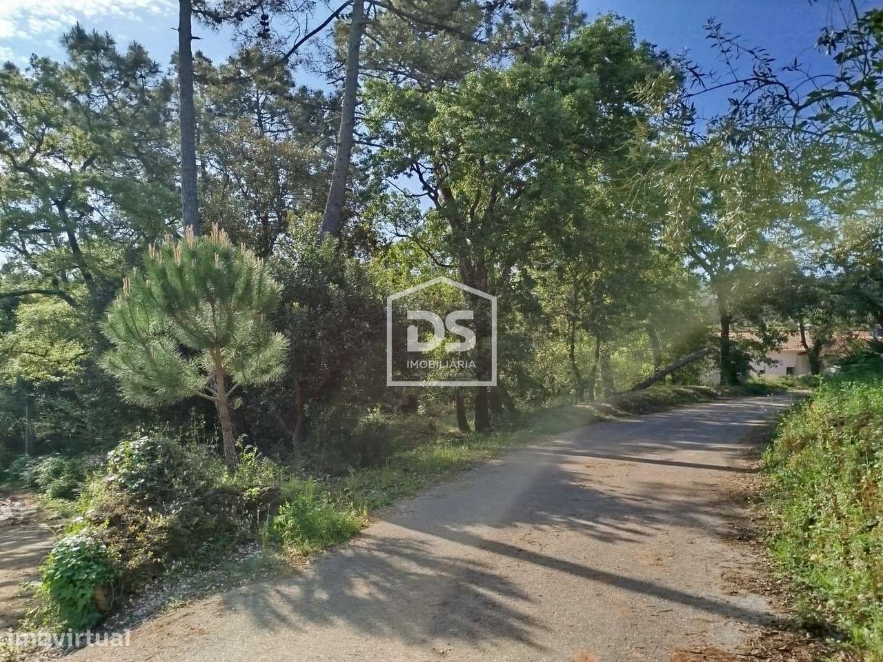 Terreno  Venda em Évora de Alcobaça,Alcobaça - Grande imagem: 4/7