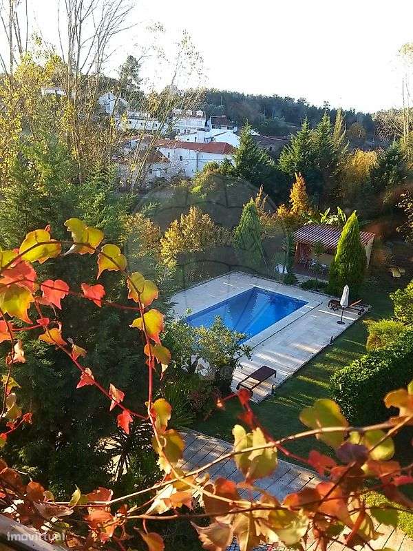 Quinta T21 para venda - Grande imagem: 5/15