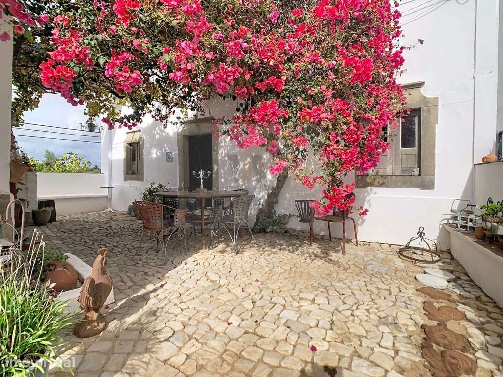 Moradia de charme autêntico + Alojamento Local independente-0