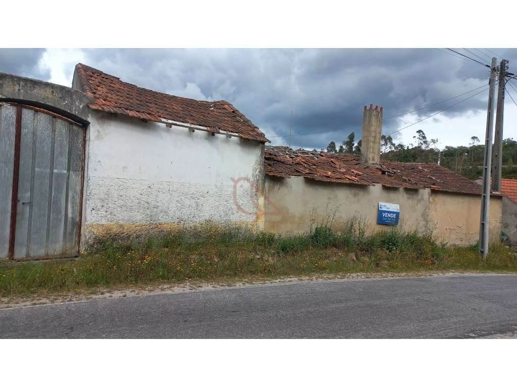 Oportunidade Única em Gondemaria: 2 Habitações Independentes com Po...-6