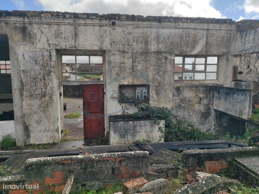 Conjunto imobiliário com antigo lagar e elevado potencial construti... - Grande imagem: 5/11