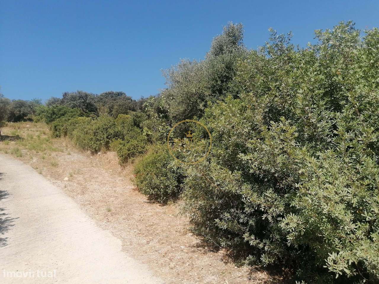 Terreno localizado nos Corgos de Sta Luzia perto de Loulé - Grande imagem: 3/10