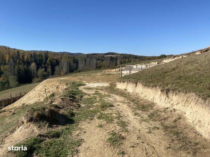 Teren cabana/casa Paltinoasa zona Poiana, 3700 mp, 2800 mp - Imagine principală: 4/8