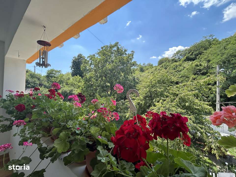 VAND O VILA IN PADUREA DIN FILIPESTI-12