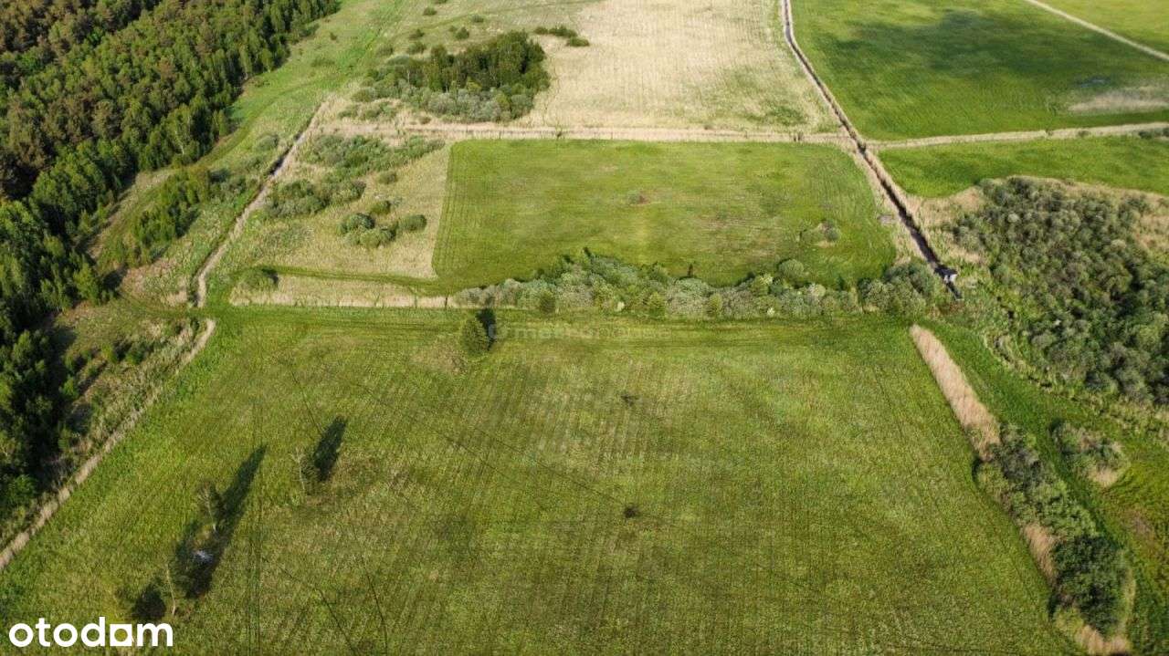 Zalesin, działka rolna 3000m, 800m od plaży - Pełny obrazek: 4/15