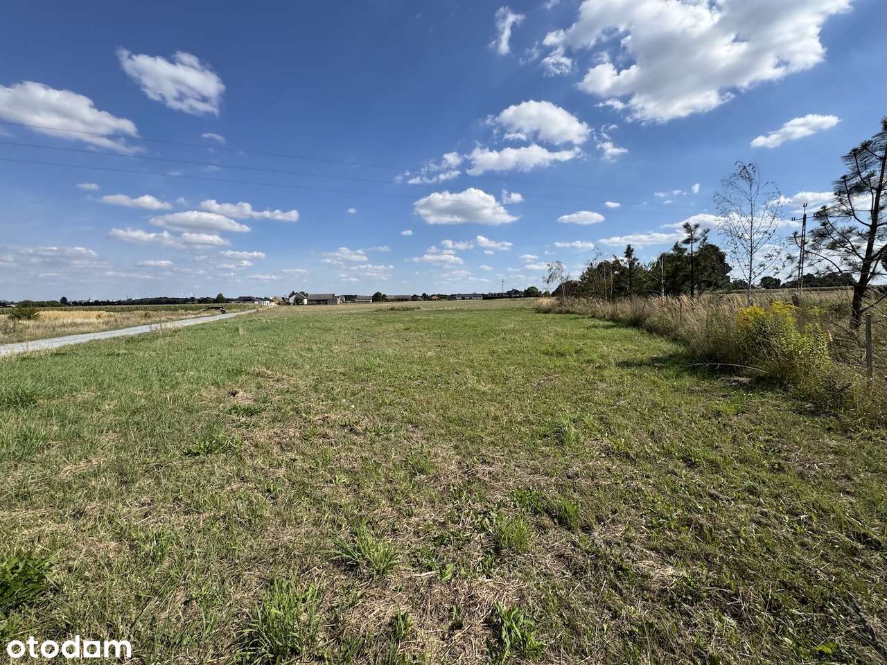 Działka 20 ar w centrum Chojęcina przy asfalcie-12