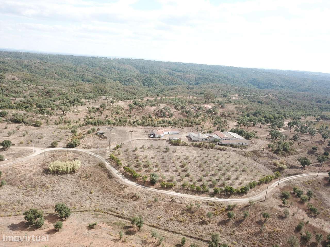 Monte Alentejano - Santiago do Cacém - 13 hectares-9