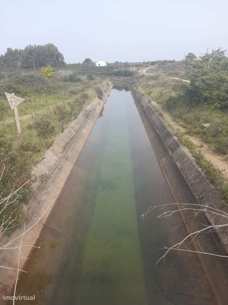 OrganicSweetPotatoesLiraMushroomsSeaweedAcerolaTableGrapeAloeVeraHoney - Grande imagem: 5/6