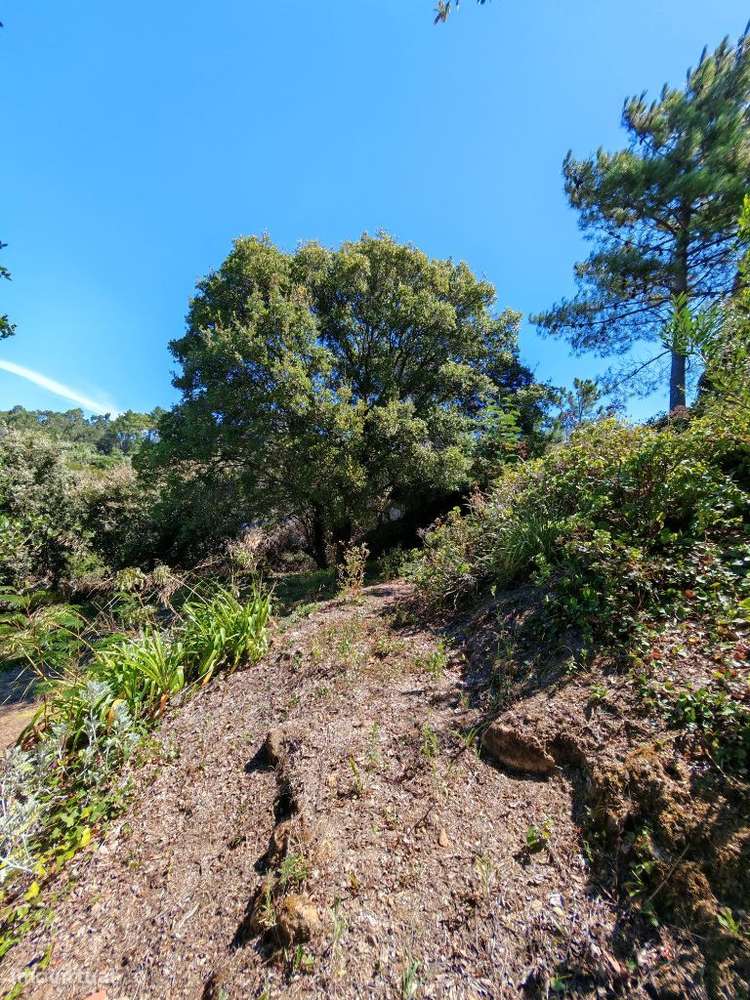 Quinta com muita privacidade, a 11 minutos do centro da Ericeira-41