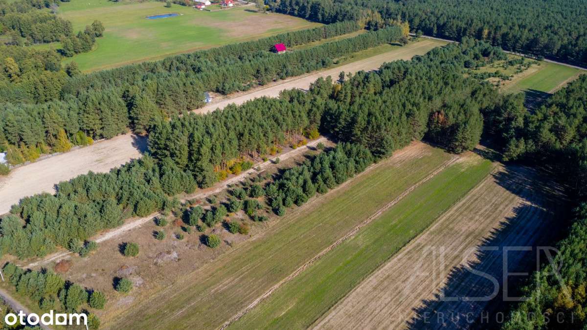 Częściowo zalesione działki rekreacyjne - Pełny obrazek: 4/13