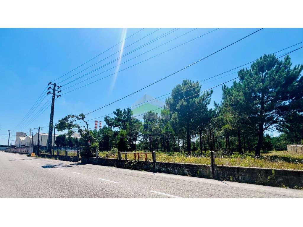 Terreno com 6.247 m2 para construção - Grande imagem: 2/4