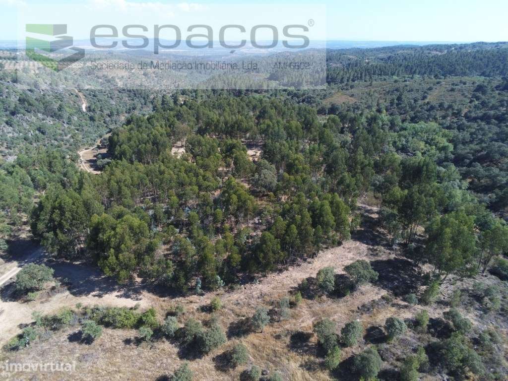 Terreno Rústico com 7 Hectares - Grande imagem: 1/28