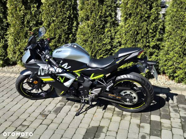 Kawasaki Ninja - 3