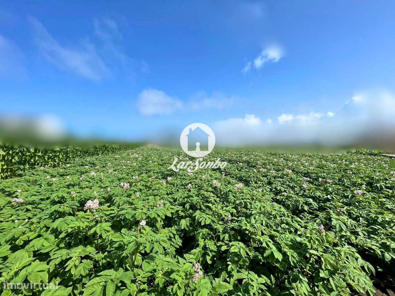 Terreno para construção em Apúlia - Grande imagem: 3/27