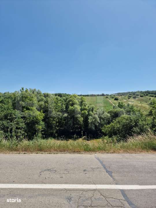 Teren intravilan,  ideal constructie casa, 12 ari in zona Valea Ghinzi - Imagine principală: 5/5