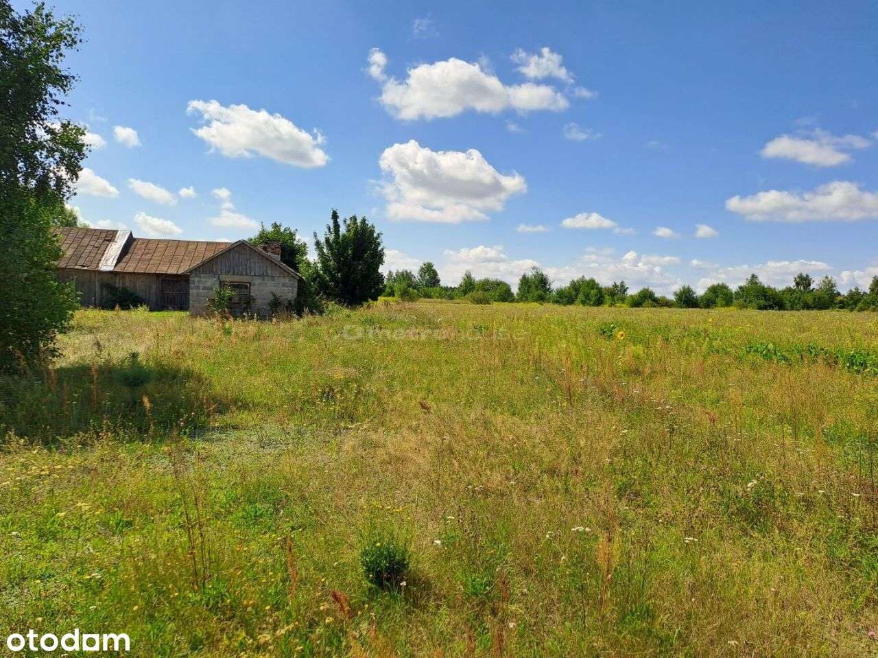 Dom, 100 m², Franopol - Pełny obrazek: 4/20