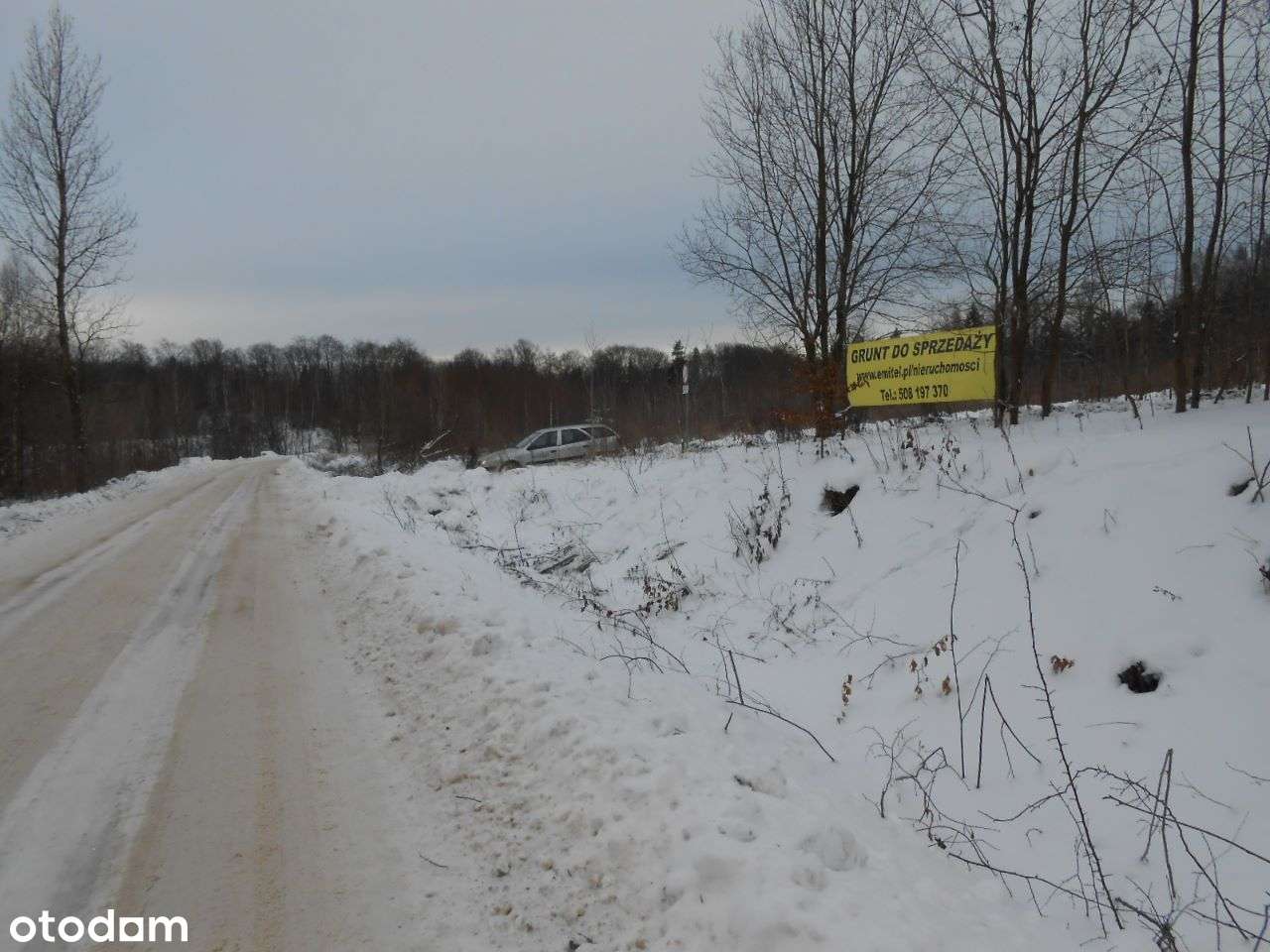 Jagodnik-działka do sprzedaży-1