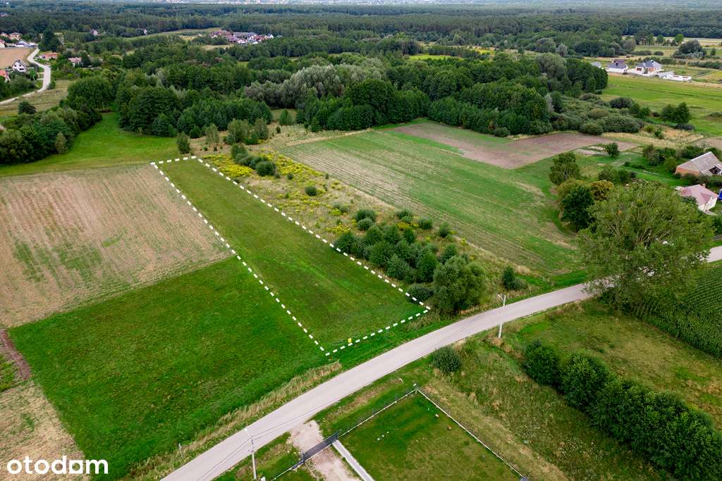 Działki w Gębarzowie, pod Radomiem - Pełny obrazek: 5/9