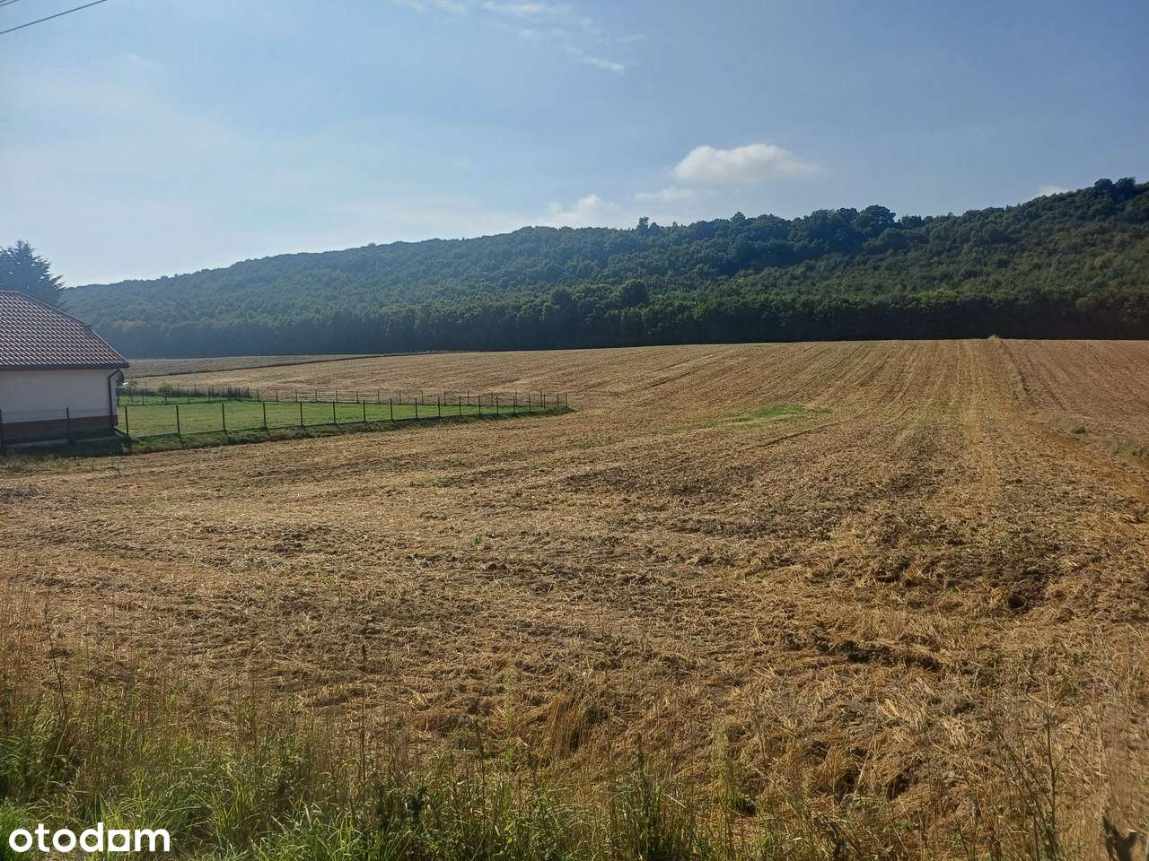 Klonów, gmina Racławice - piękne działki budowlane na sprzedaż-5